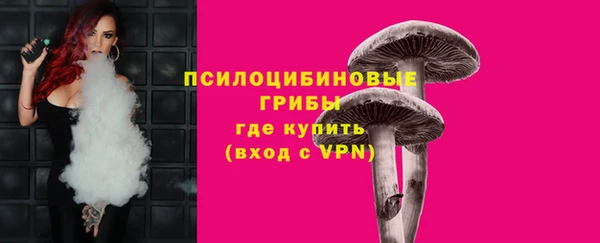 прущий лед Армянск