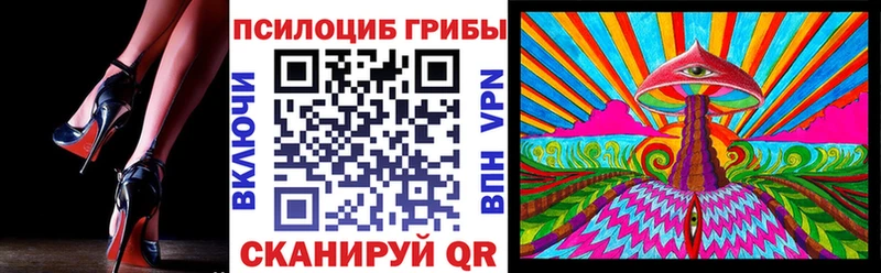 Псилоцибиновые грибы Psilocybe  где найти   Балашов 
